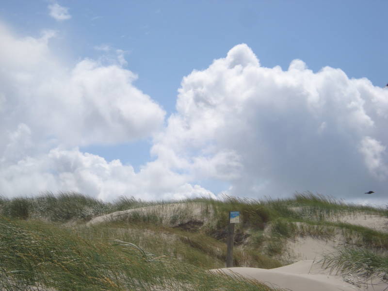 Urlaub am meer Callantsoog